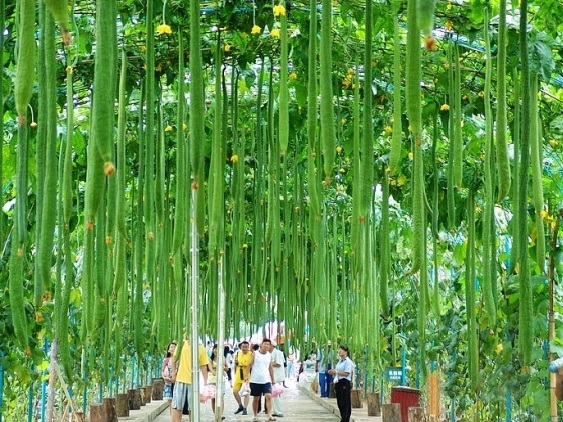 說(shuō)明: 說(shuō)明: C:UsersjiangDesktop?137A77FBCCA000EFF80808137A77CDE.jpg