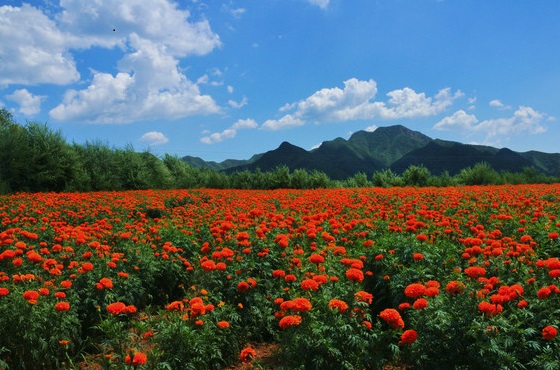 說(shuō)明: wKgB6lPoWYCANxSlABB8UU1nUUA88.groupinfo.w600.jpeg