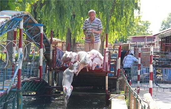 說(shuō)明: 說(shuō)明: C:UsersjiangDesktop?1473CDF629F06B0FF808081473C0636.jpg