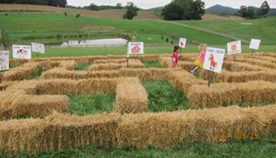 說(shuō)明: 說(shuō)明: C:4示意圖圖片庫(kù)莊園經(jīng)濟(jì)和休閑農(nóng)業(yè)53e6583bgaf0ac0e53a58&690 (1).jpg