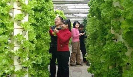 說(shuō)明: 說(shuō)明: http://www.zhidaoguihua.com/upLoad/image/20151008/14443097835476759.jpg